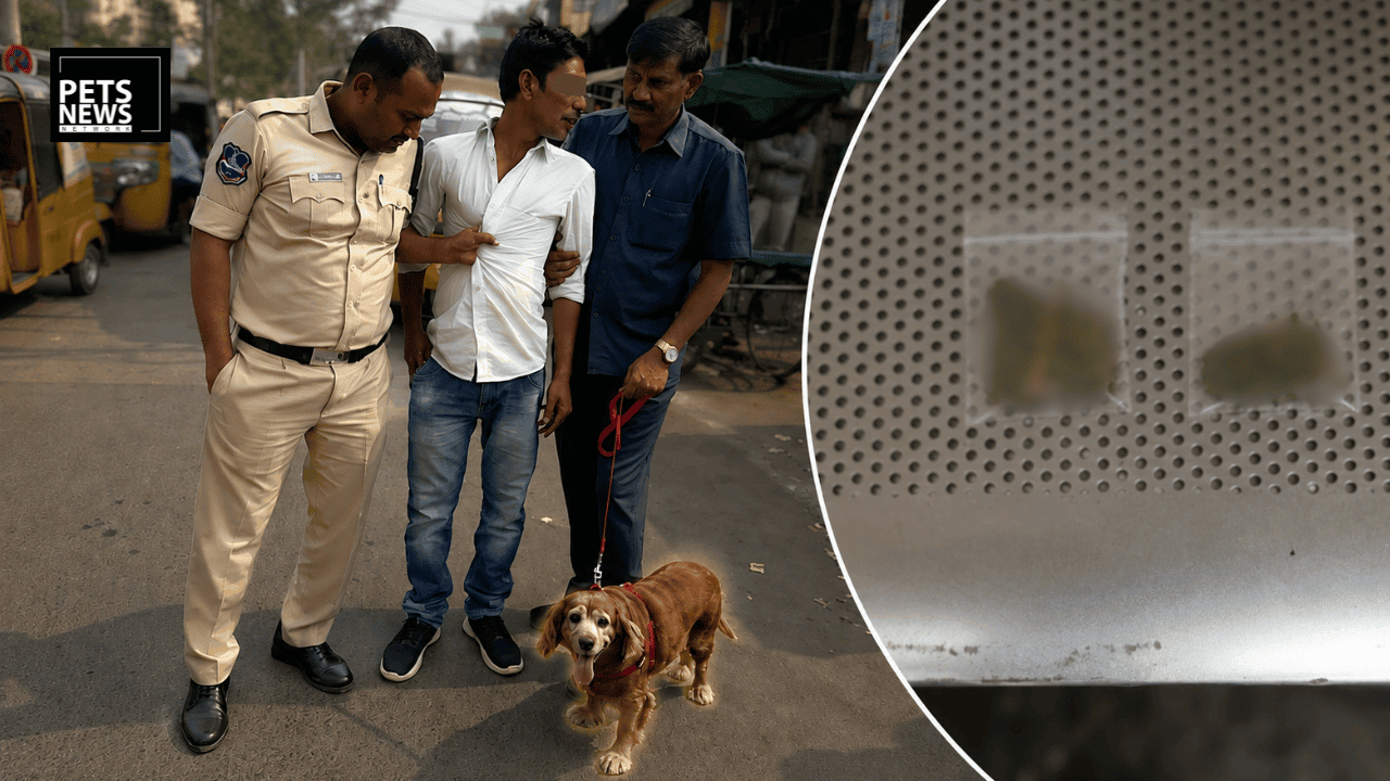 Meet Roma: The Adilabad Sniffer Dog Whose Nose