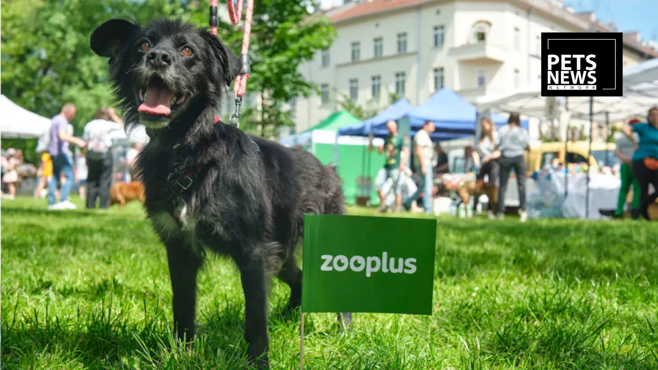 Zooplus Launches Third-Party Marketplace in Germany, Adding 10,000 New Pet Products Overnight