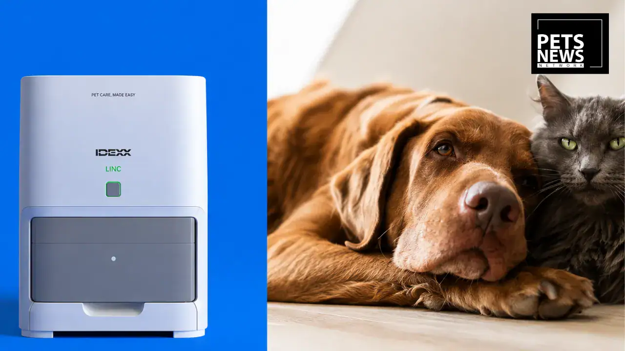 IDEXX Launches First In-Clinic Cardiac Test That Screens Both Cats and Dogs for Heart Disease