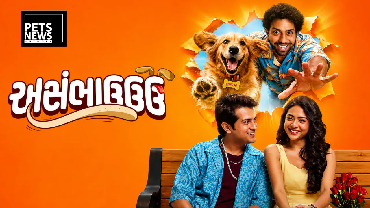 From "Impossible" to In-Theatre: Gujarati Film "Asambhauuu" Hosts India's Rare Pet-Friendly Cinema Screening