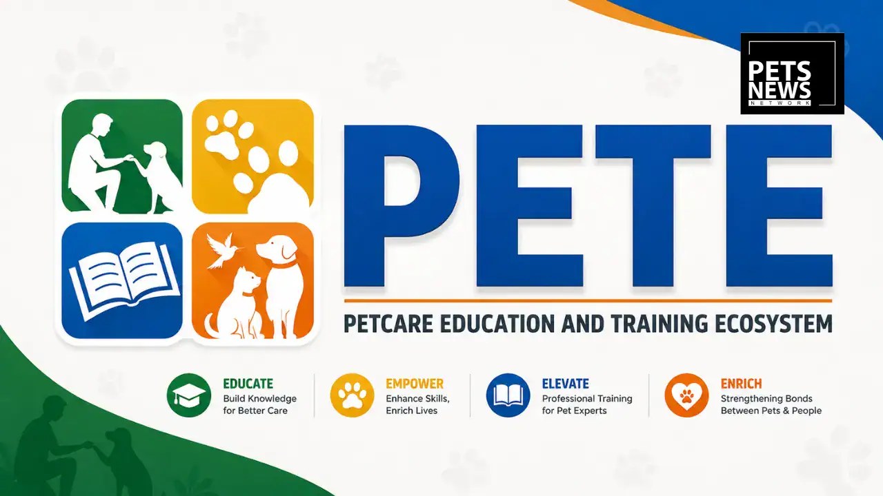 Meet PETE- The Pune Institute Training India's First Certified Pet Care Workforce