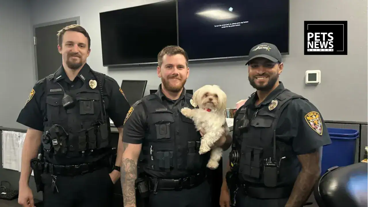 Three Stolen Dogs Recovered After Break-In at Oklahoma Veterinary Hospital, Juveniles in Custody