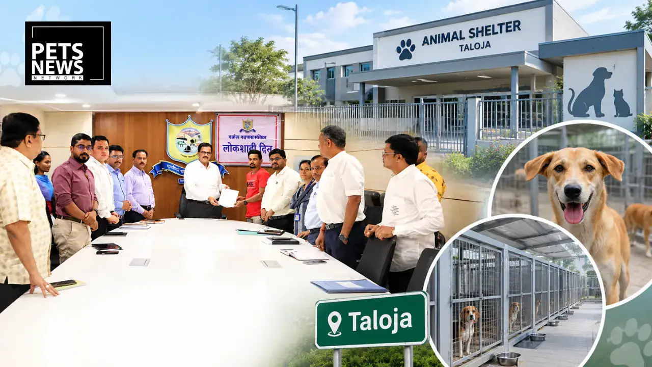 Panvel Civic Body Proposes ₹13.55 Crore Modern Animal Shelter in Taloja