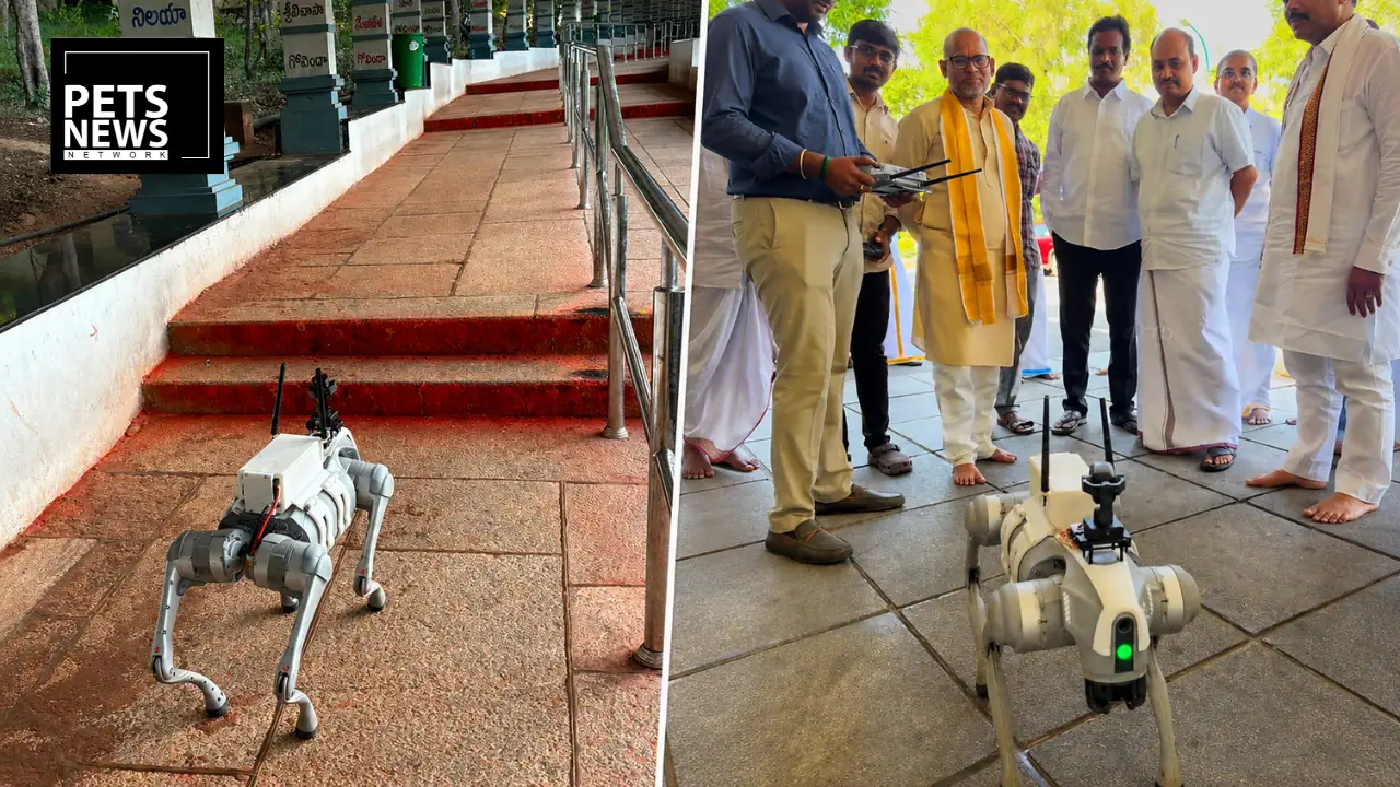TTD Plans to Deploy AI-Powered Robotic Dogs to Prevent Leopard Encounters on Tirumala Hills