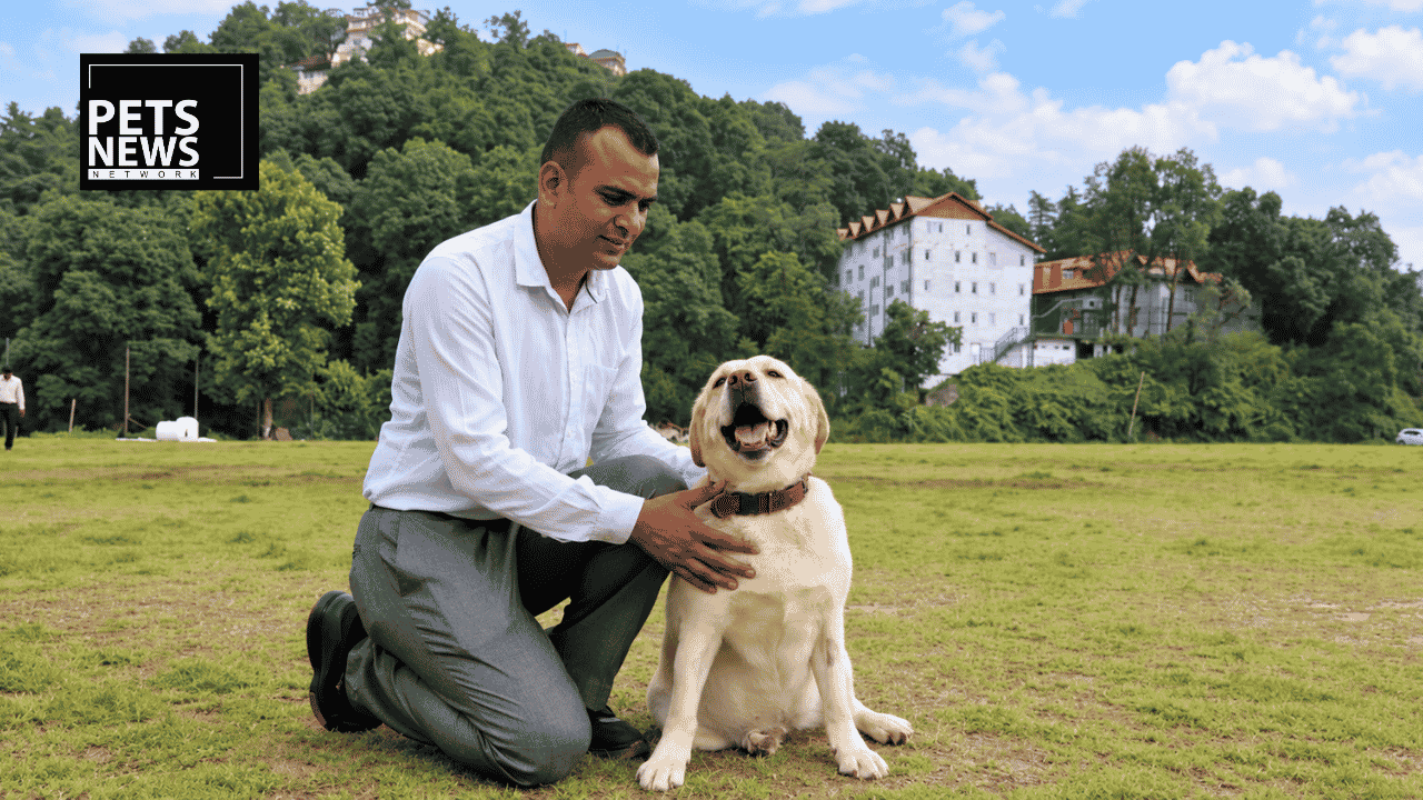 Meet Dora: The Himachal Police Bomb-Sniffing Labrador Who's Finally Looking for a Family, Not a Buyer