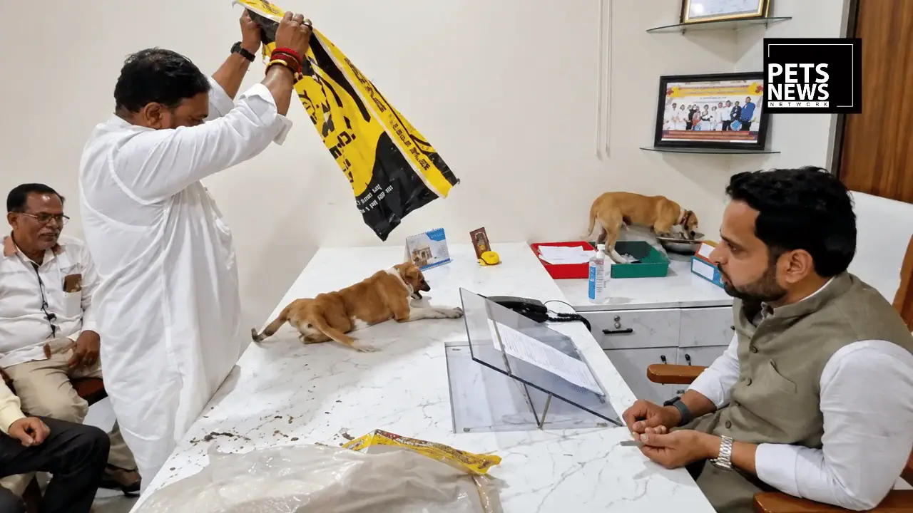 Nashik Protesters Dump Puppies on Officer's Desk, Then Face the Law