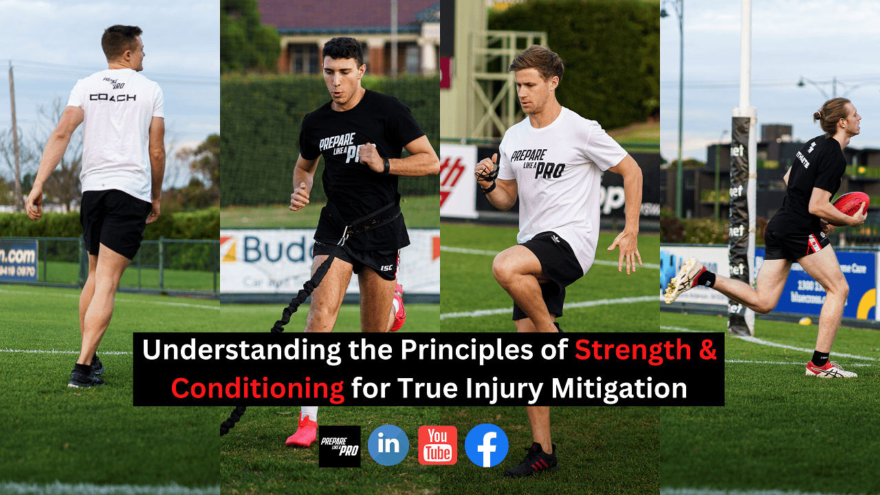 Holistic Approach to Athlete Training