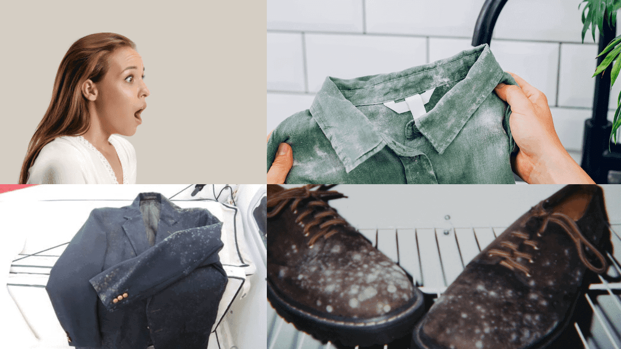 Your shocking mold discovery