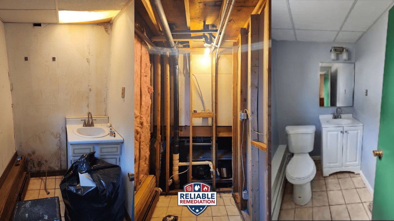 Plainfield CT Mold Removal
