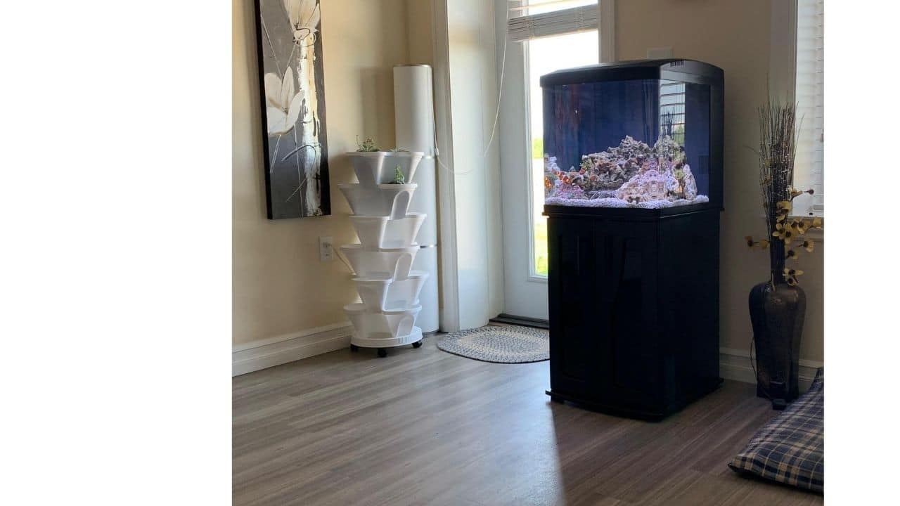 My coralife biocube 32 aquarium