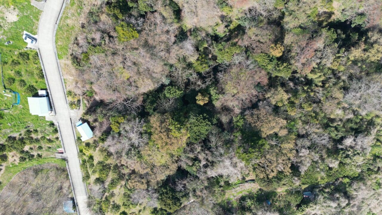 前川山林上空から撮影
