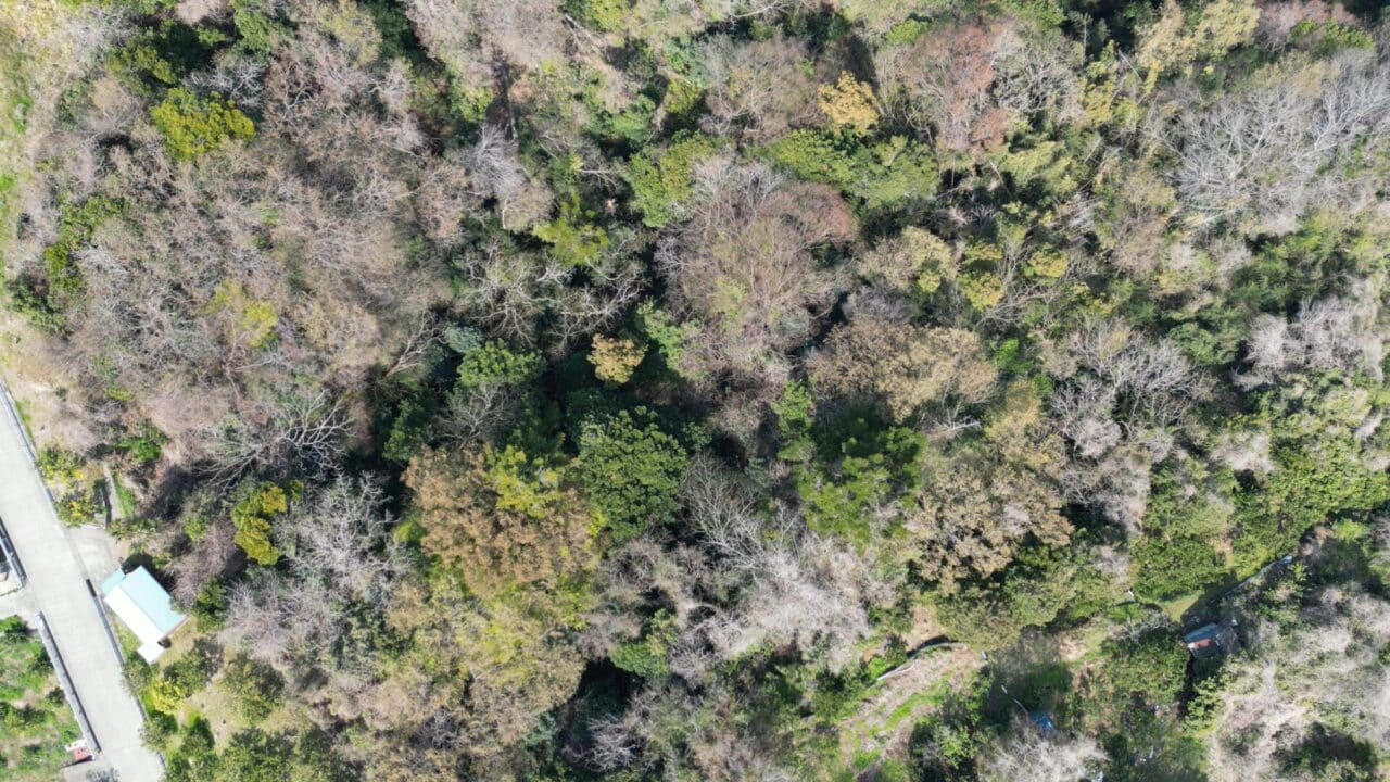 小田原市前川山林上空から撮影