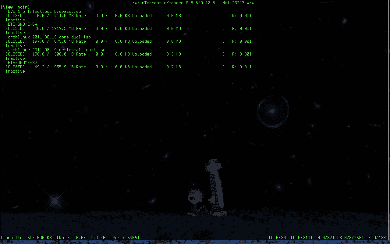 rTorrent preview