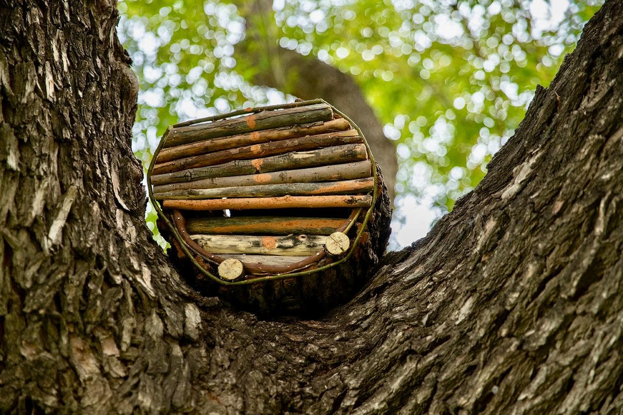 Un diálogo entre la producción apícola y el arte contemporáneo - Injerta | Comunicación y difusión agropecuaria de Entre Ríos
