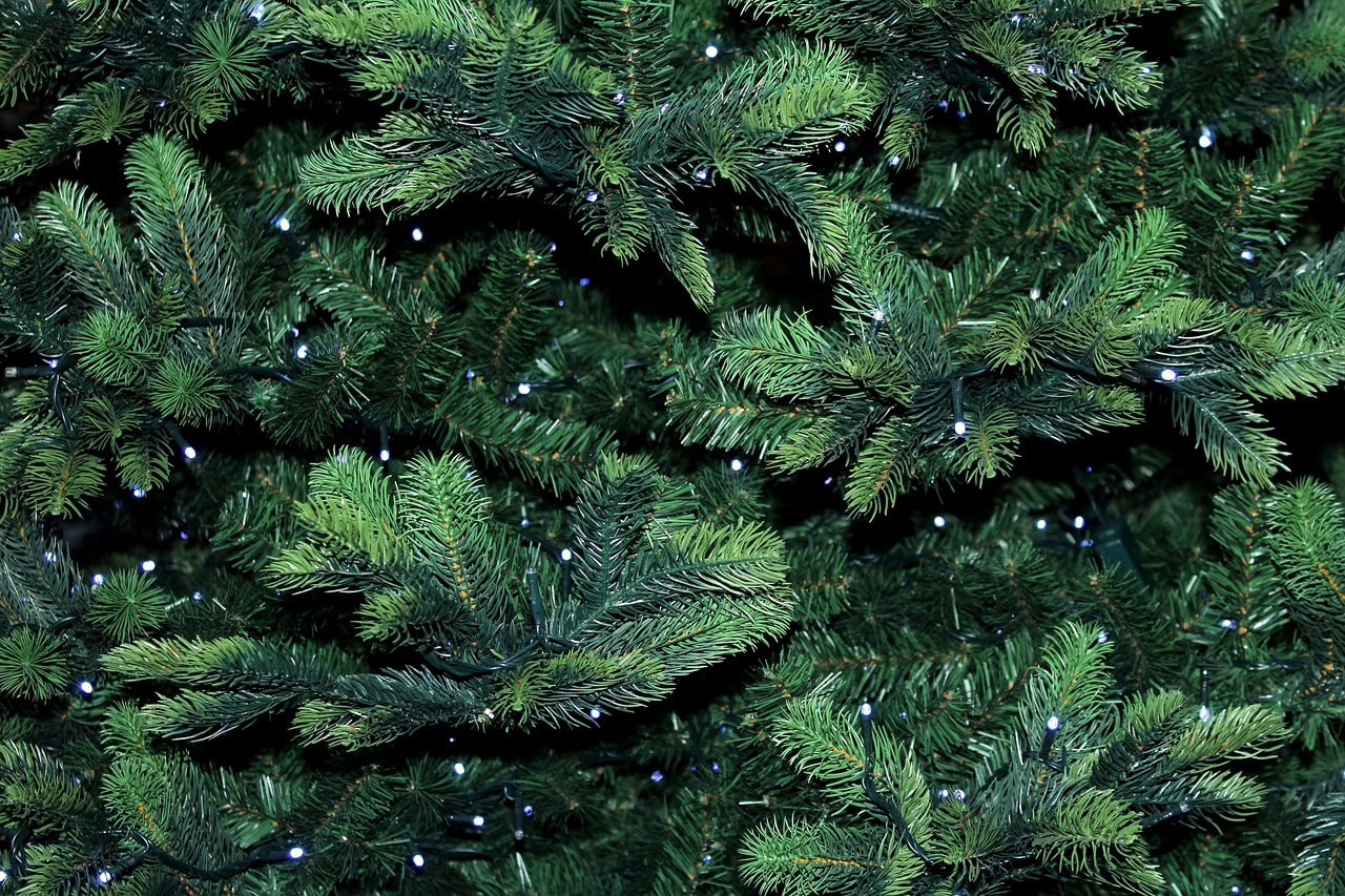 bush-christmas-light-Folsom this image shows bush Christmas lights in Folsom, CA