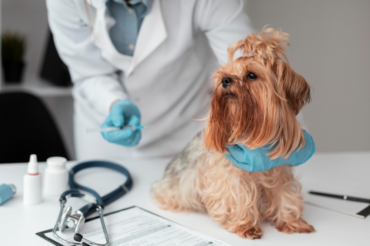 Medical and Veterinary Lab Setup in Saudi Arabia