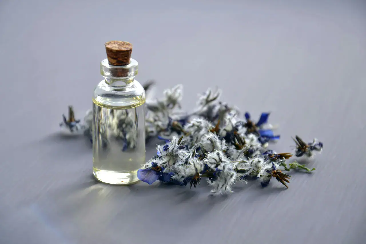 BizBash Evaluates Event Scents