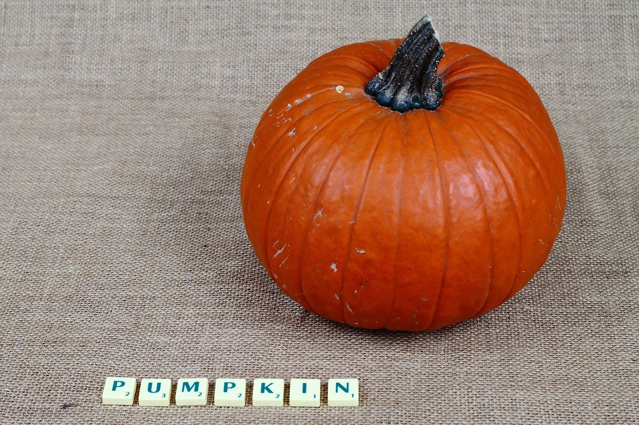 subtitles, writing, scrabble, word, letters, words, language learning, learning english, vegetables, a vegetable, food, natural, nature, bio, healthy, pumpkin, orange, scrabble, scrabble, scrabble, scrabble, scrabble, learning english, learning english, learning english