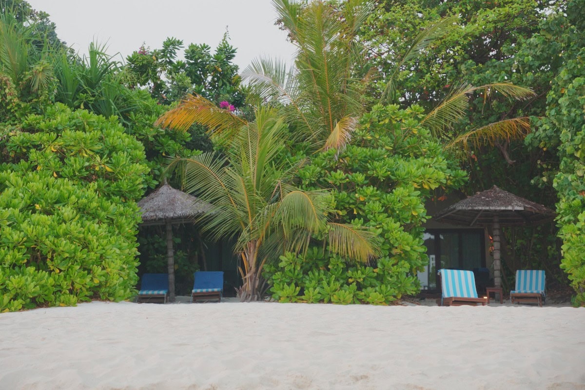 Outside of Reethi Faru beach villas in the Maldives, concealed by surrounding vegetation