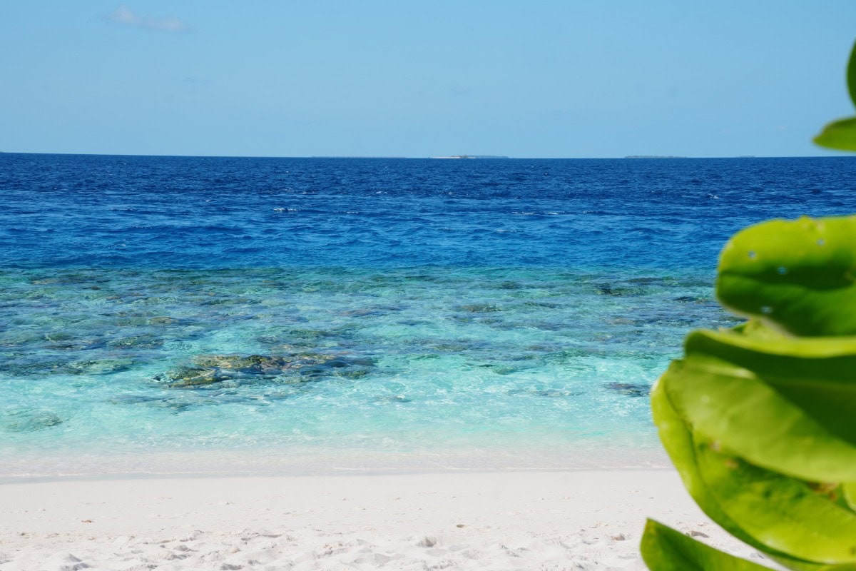 Reef from beach of Reethi Faru Resort in the Maldives