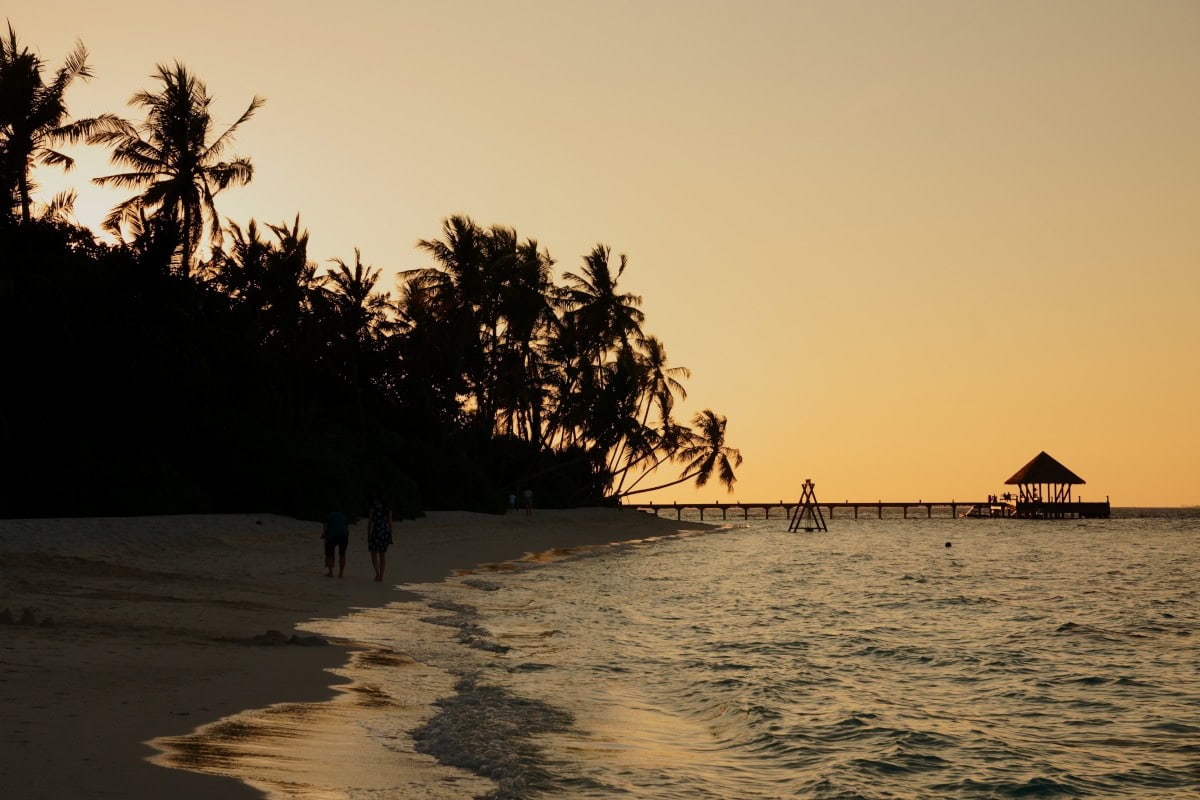 Silhouette of palms and jetty on a beach at sunset in Reethi Faru Resort, Maldives