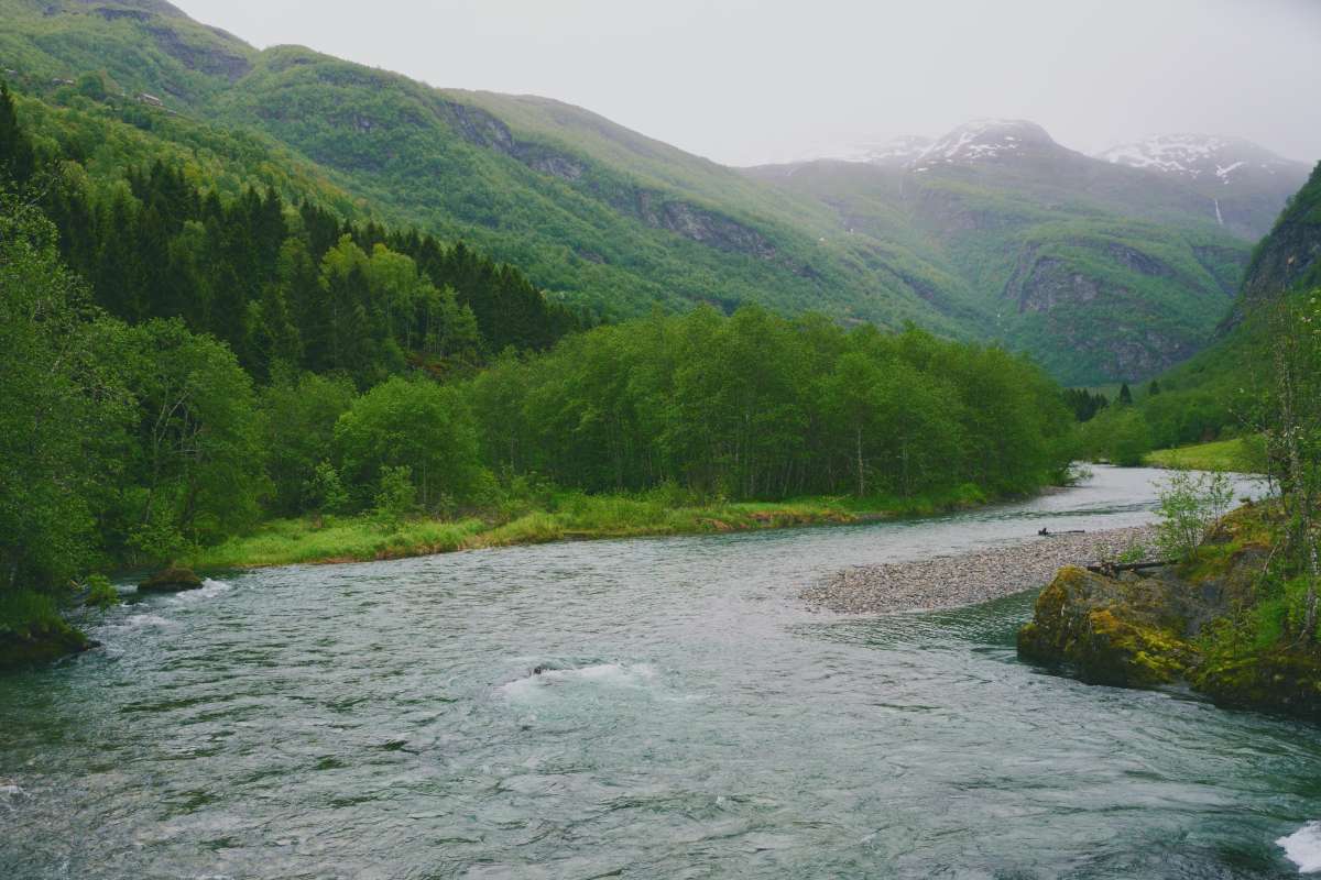 River flowing between lush valley in norway