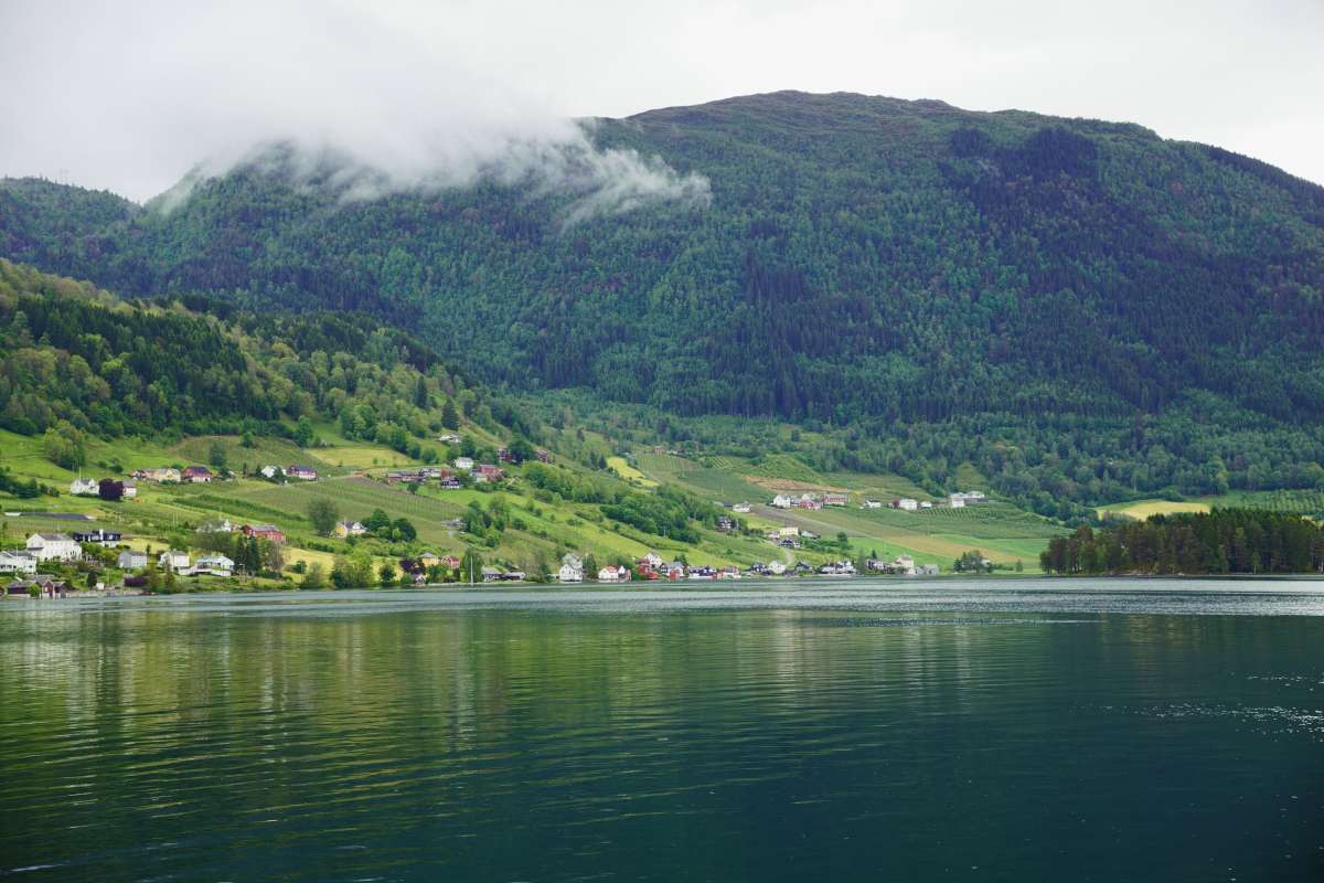 Fjord and green rolling hills in ulvik, a small village in hardangerfjord close to bergen