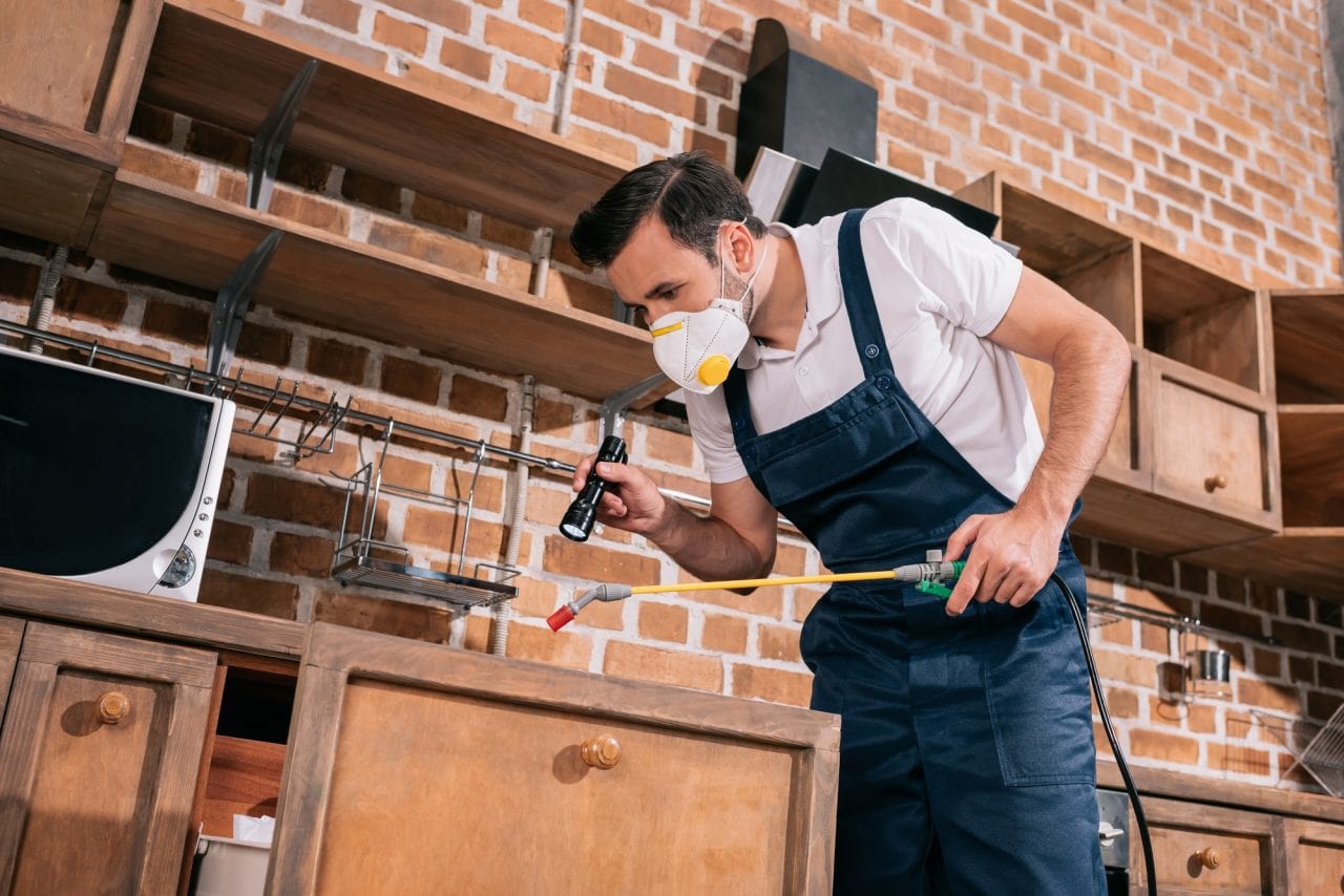 Pest control worker spraying pesticides in a kitchen and inspecting with a flashlight