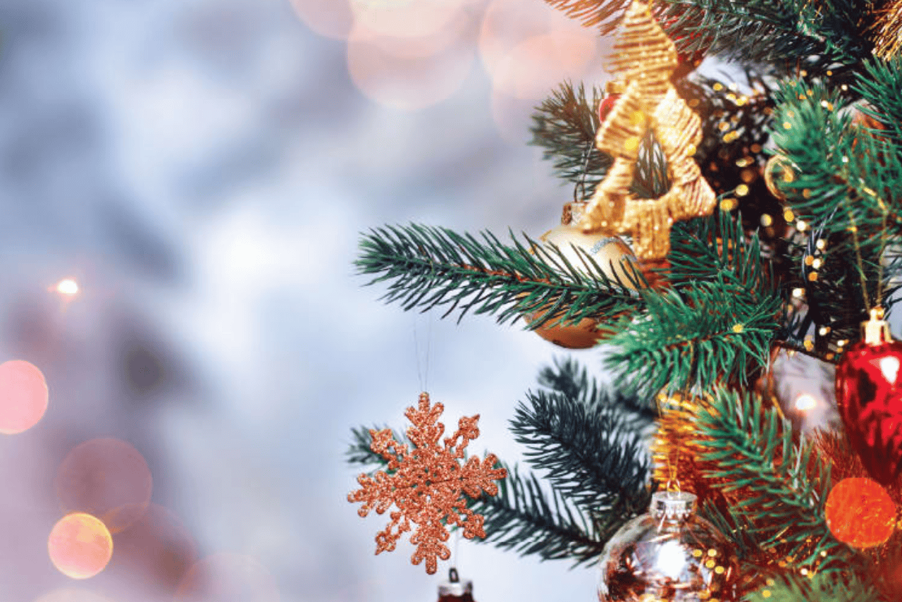 Christmas Tree Lighting In Dubai 2025
