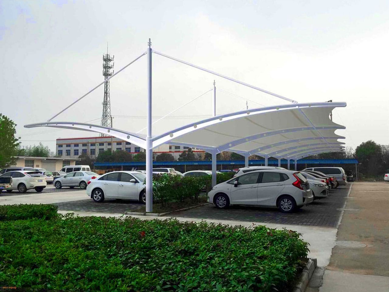 kanopi membrane, puncak, arsitektur modern