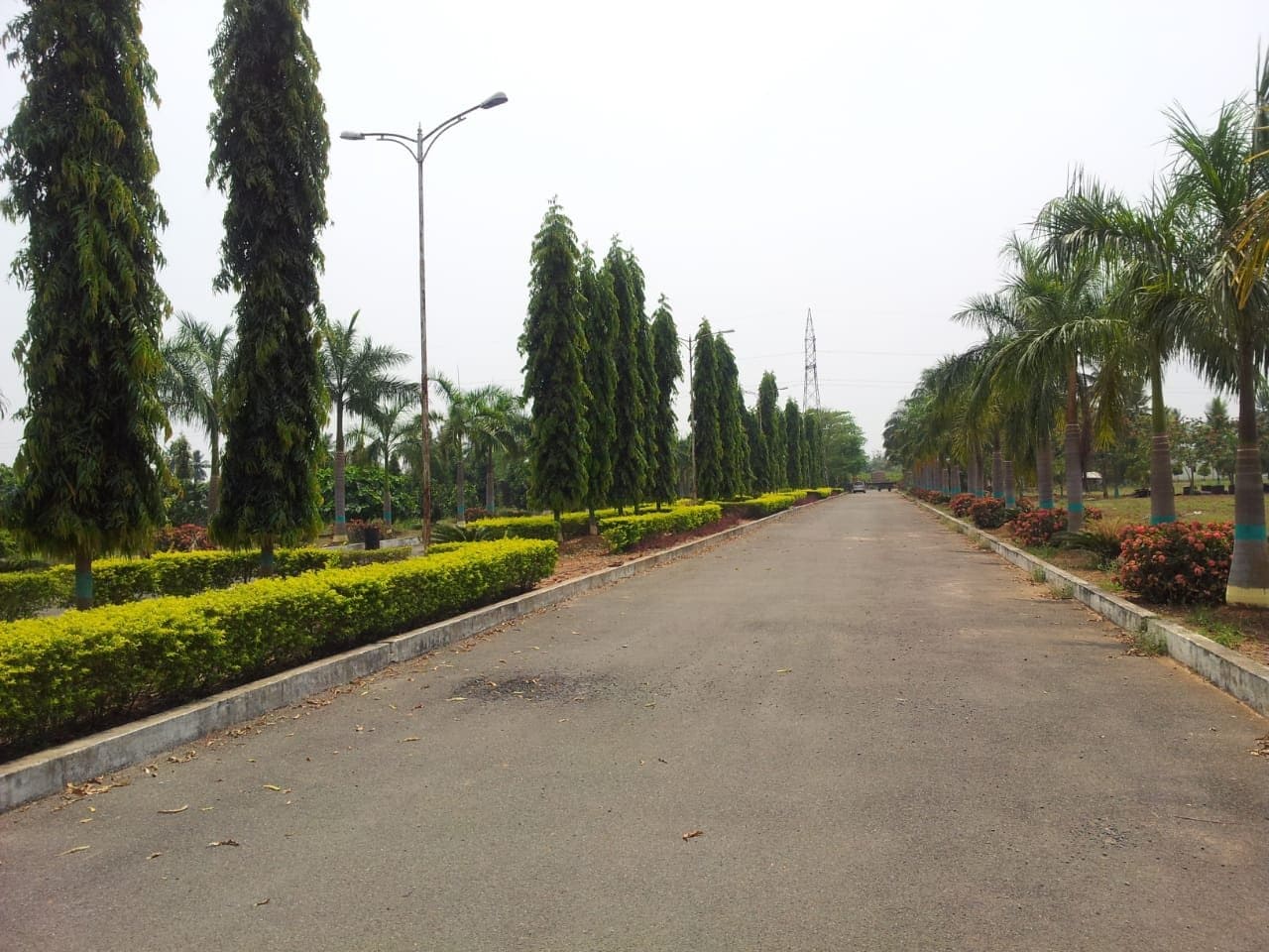 site for sale in eluru