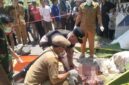 Polsek Cisompet mengamankan seorang pria berinisial AS (28) yang diduga terlibat dalam kasus penganiayaan hingga menyebabkan seorang warga meninggal dunia. 