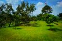 Sebuah area glamping yang berada di kawasan kebun durian dan alpukat di Ciater, Kabupaten Subang. Lahan tersebut memiliki luas sekitar 1,5 hektare. Poto. Dok. KPK