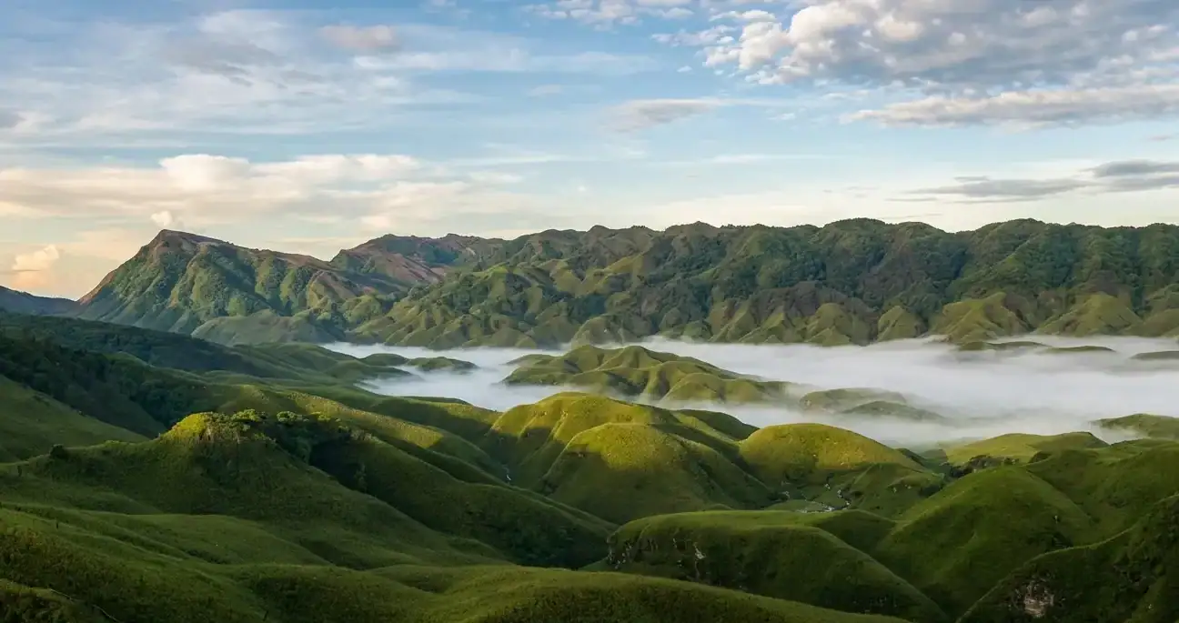 Dzukou Valley