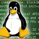 known linux bugs with do