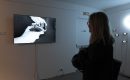 Smart Pantheon in der Ausstellung 'VARIATION - ArtJaws media art