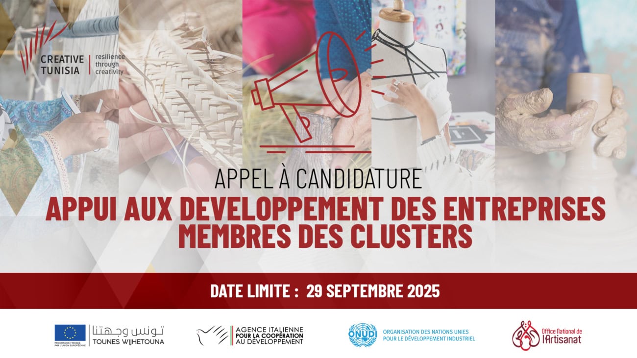 Appel à candidatures_CT1