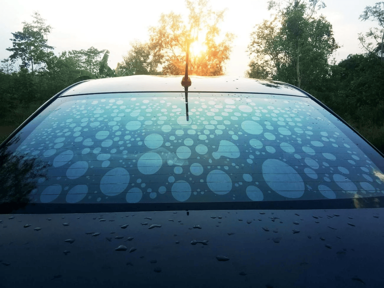 Tint Werkz | Mobile Window Tinting Gainesville FL
