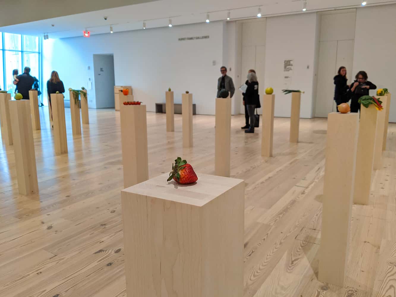 whitney museum fruits and vegetables exhibition