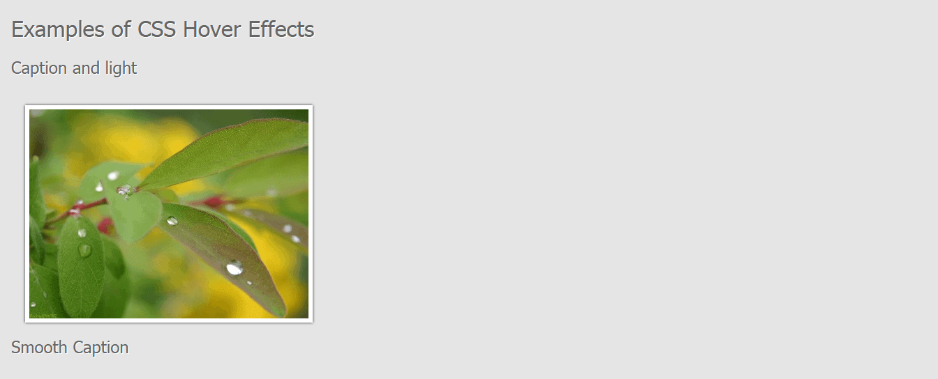 examples - CSS3 animation libraries