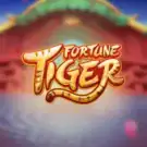 Fortune Tiger