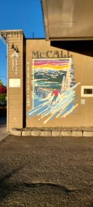 help for Mccall idaho with valiant mental health, treatment in online therapy and medication management