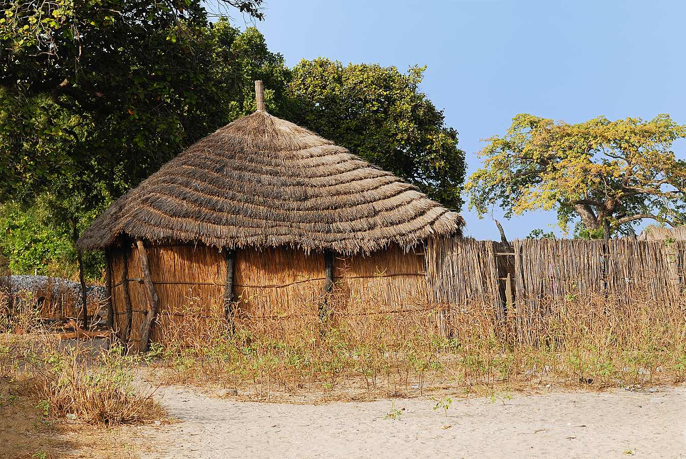 Excursion en quad en brousse (Nianing, Popenguine) — Sénégal