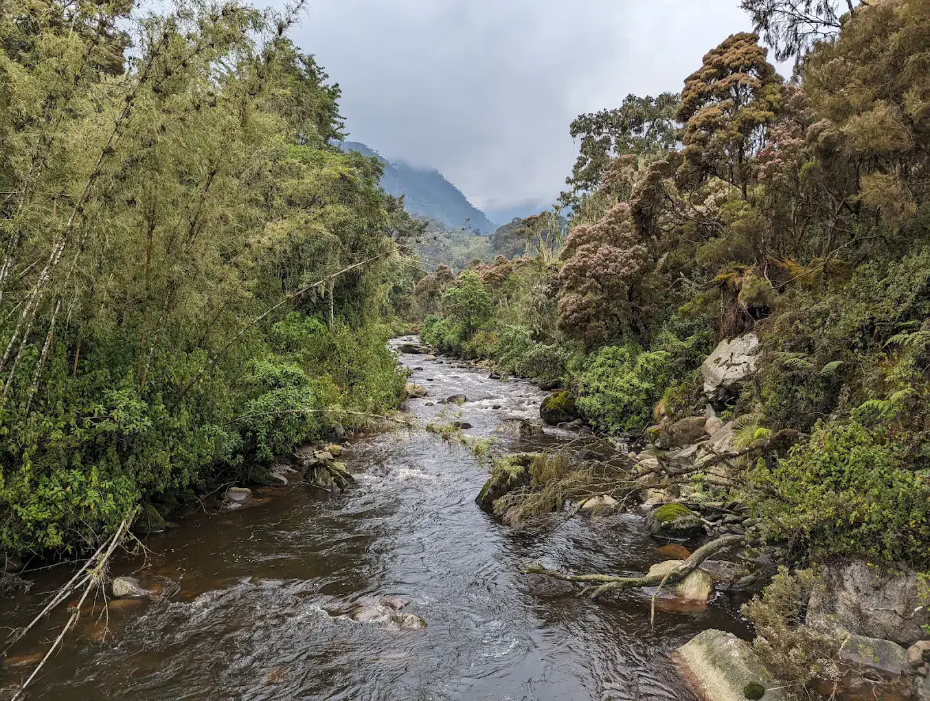 Rwenzori mountan water falls