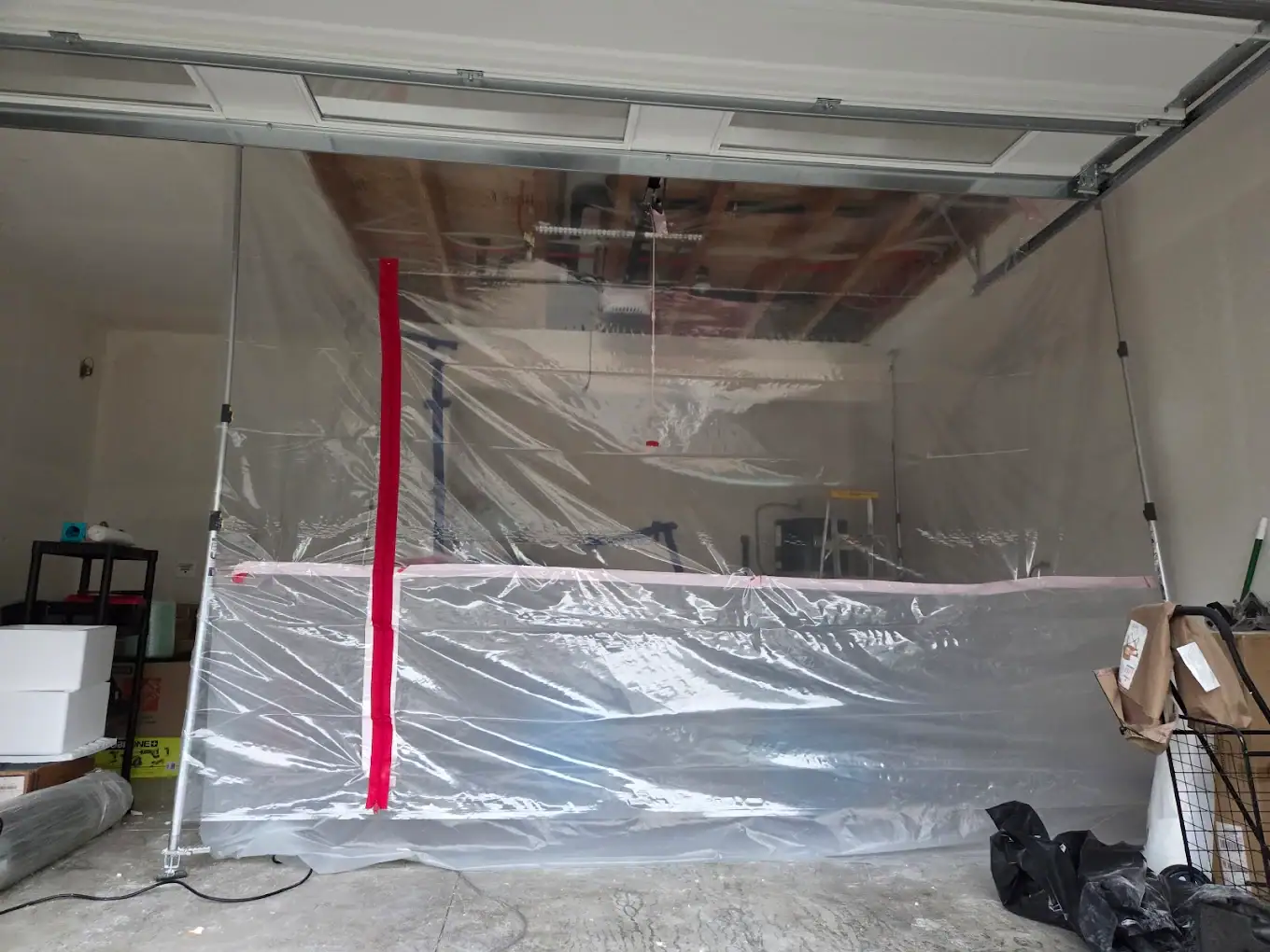 carpet-cleaning-wa.webp