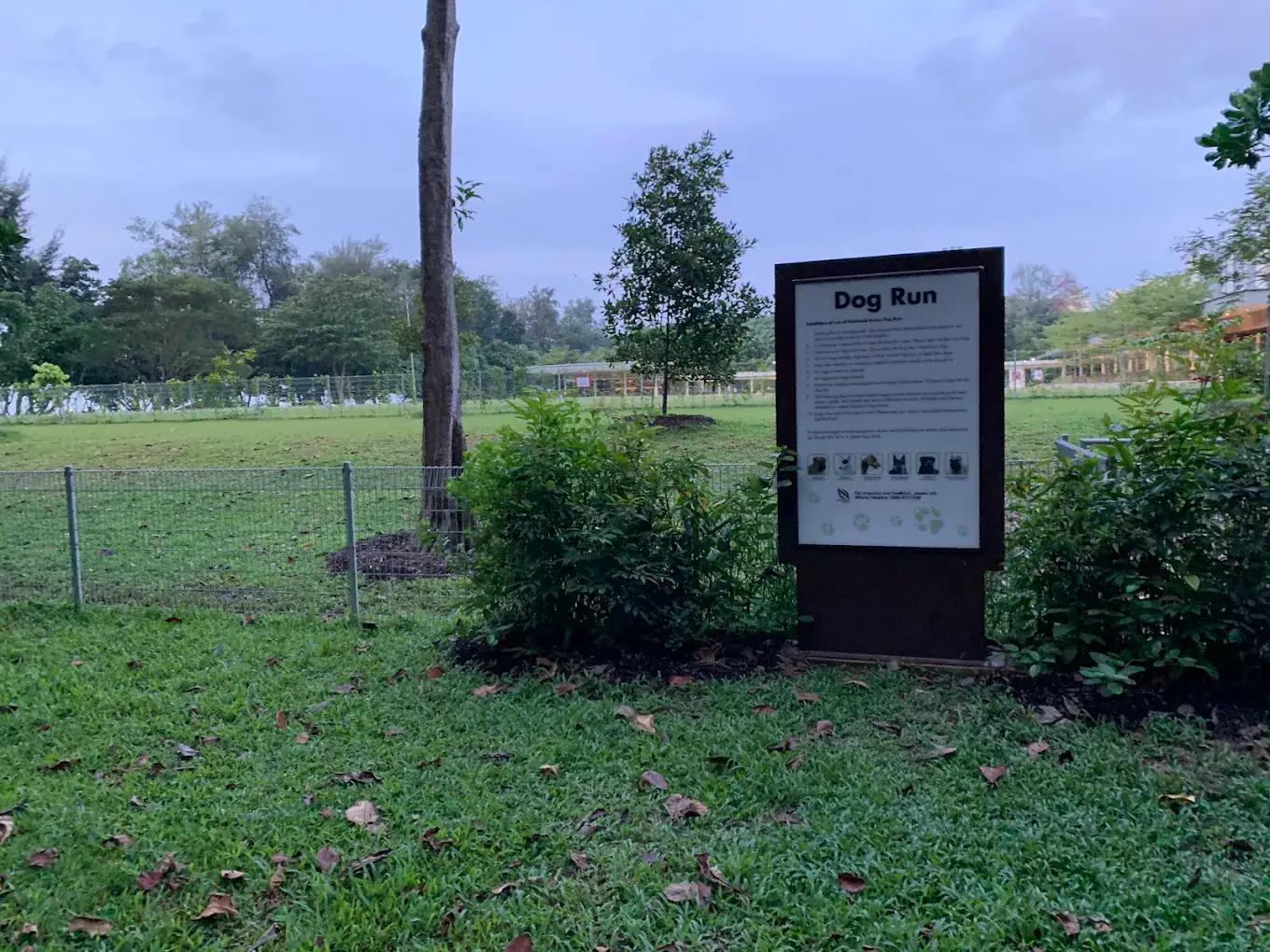 EastCoastAreaCParklaneGreen (Google) - M Lee 2021