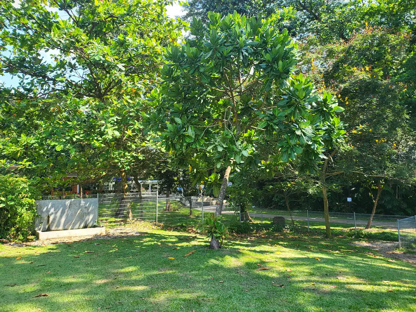 EastCoastAreaCParklaneGreen (Google) - T0m2y 2024