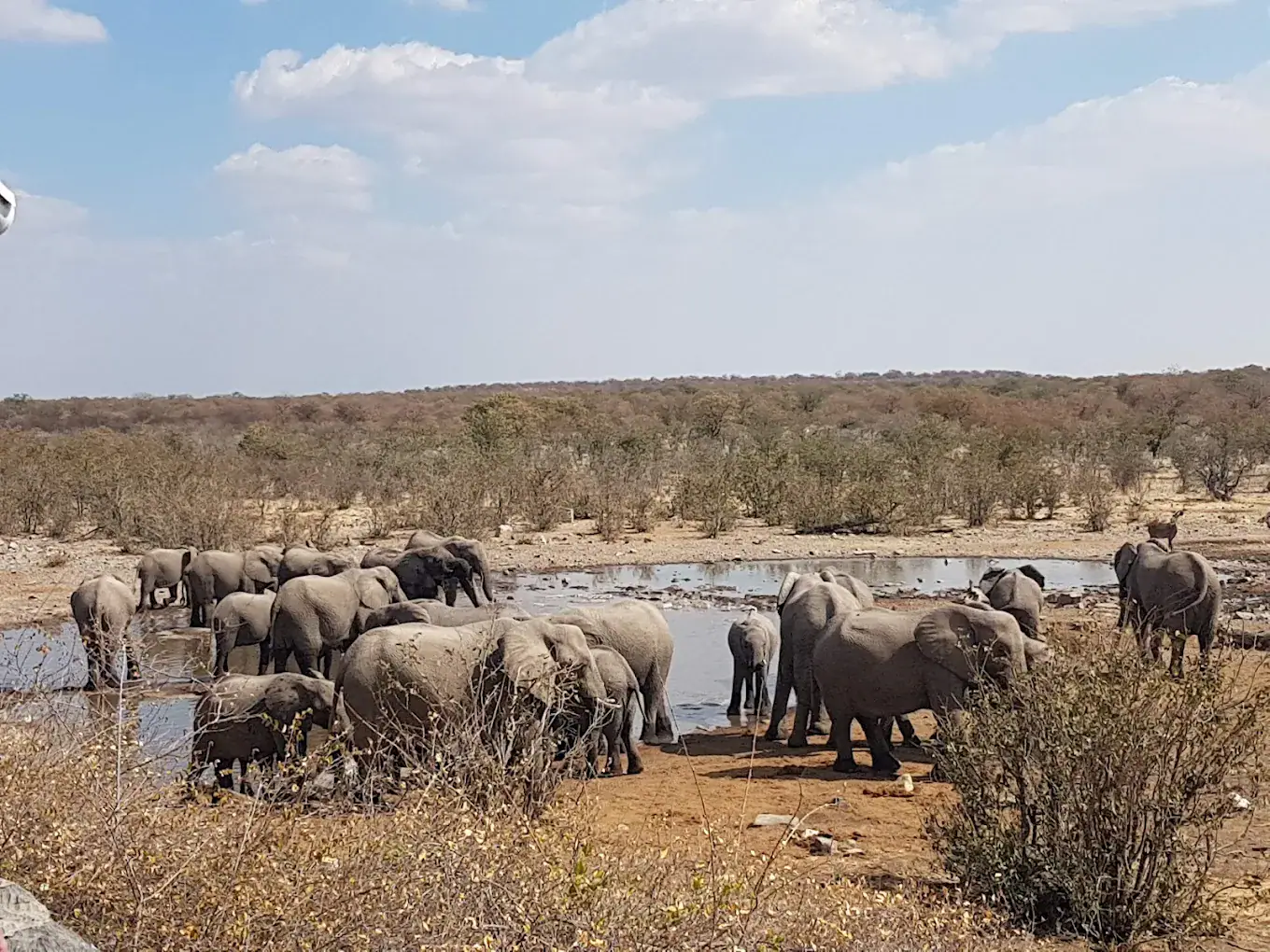 Uganda luxury safari queen elizabeth national pak