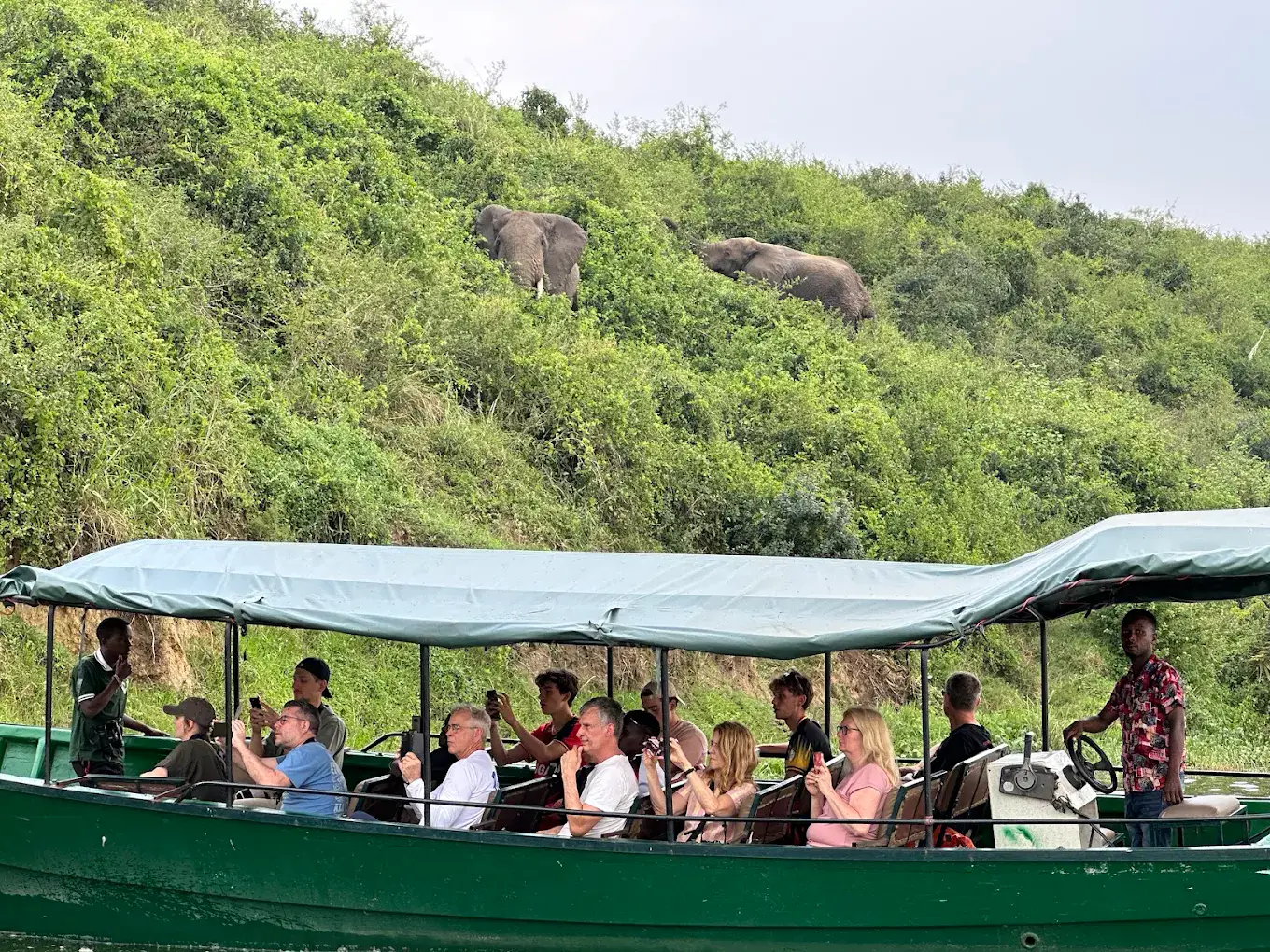 Best Activities in Queen Elizabeth Uganda
