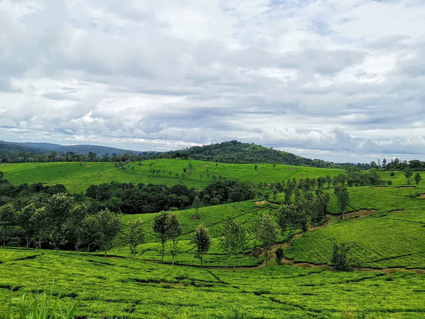 Fort portal